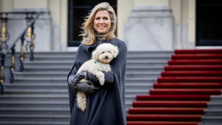 Queen Maxima of The Netherlands with her dog Mambo 