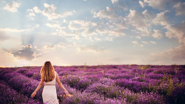 Deze planten houden muggen op afstand