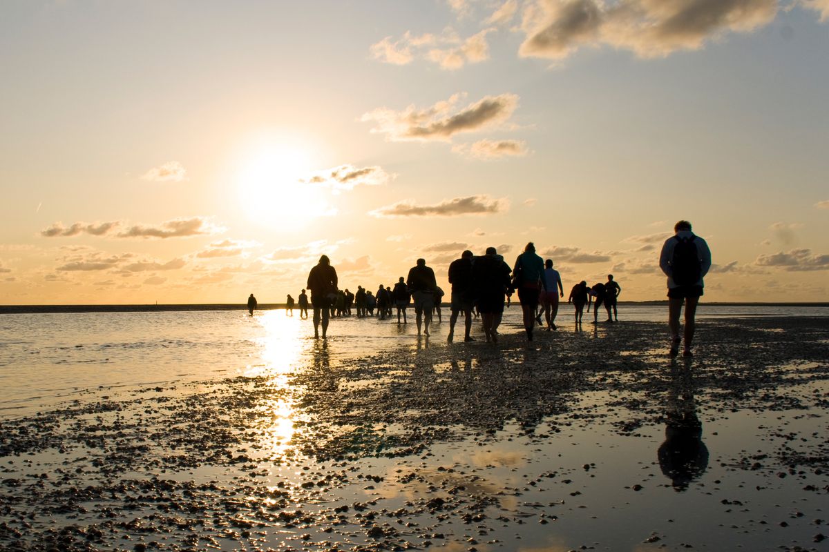 Grote reddingsactie voor wadlopers bij Ameland