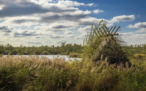 Nationaal Park De Alde Feanen