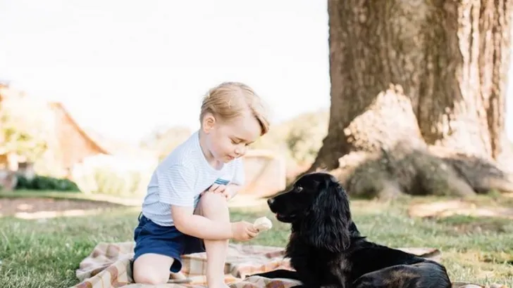 Prins William onthult: hier kan je prins George blij mee maken