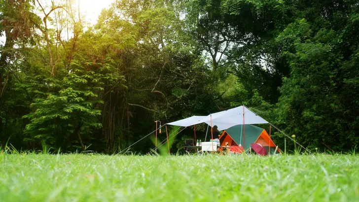 nature landscape camping tent and camper with tarp or flysheet under tree on green grass meadow in jungle garden or forest for family vacation picnic on holiday relax travel and rainy with sunlight