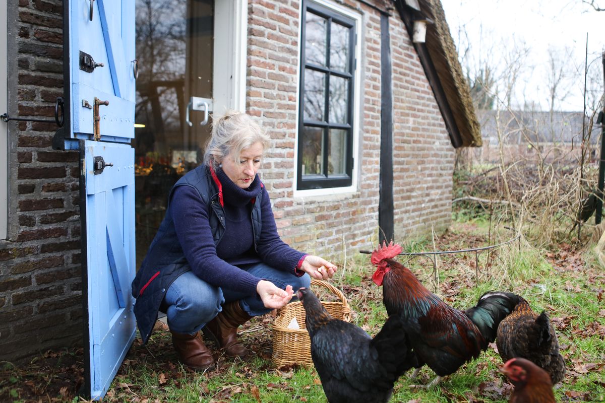 Het Drentse keuterijtje van Jet Violier