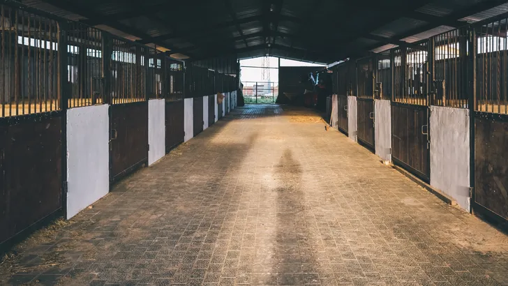 Vrouw (33) krijgt 2,5 jaar cel voor drugsdeal bij manege in Waverveen