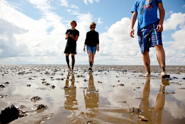 Wadlopen