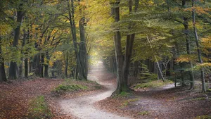 Wandeling Bornia en Heidestein