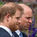 prins harry william