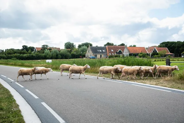 Terschelling
