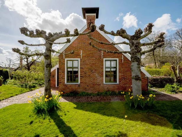 Het Hoogeland