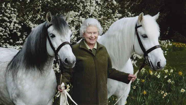 Da's pas echte liefde: The Queen en haar paarden