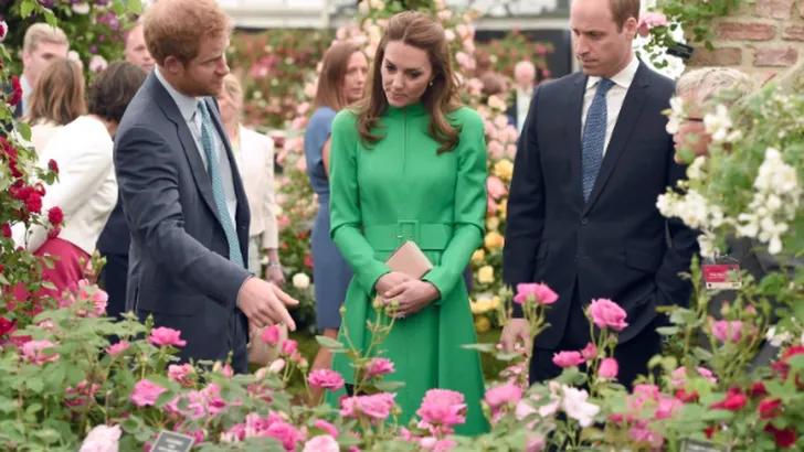 Het wordt een week vol zon, tijd om je tuin onder handen te nemen