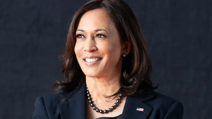 Wat doet Kamala Harris nu zoal? 