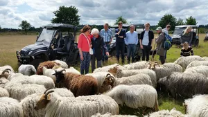 Op safari in Drenthe