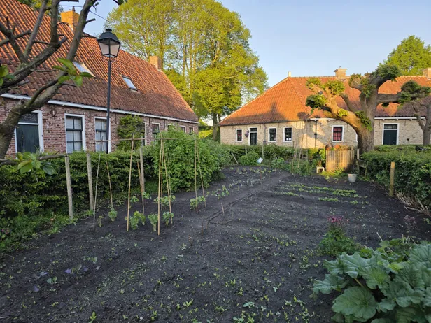 Moestuin