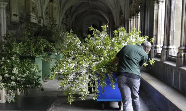 Man duwt kar met bloemen door hal