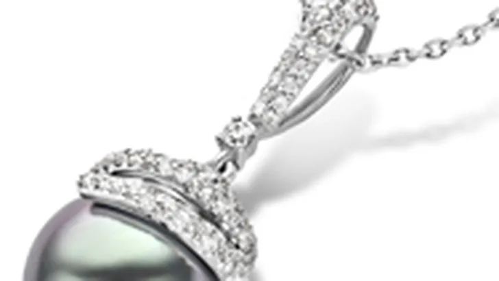 Wie verdient de Parel van Nouveau 2012?