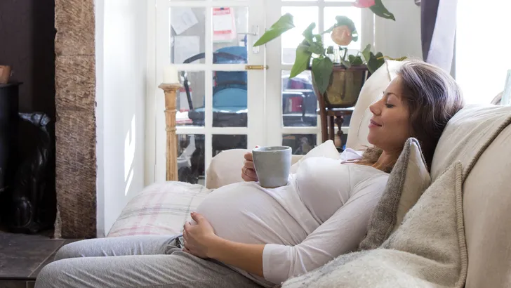Wil je een gezonde baby? Dan moet je nu al dit huisdier nemen