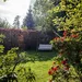 Tuin