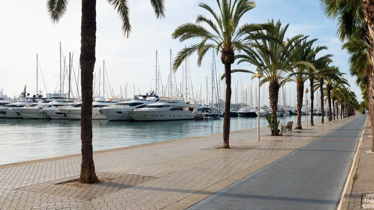 Van 99 tot 21 miljoen euro: de bizarre contrasten op de Palma International Boat Show