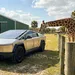 Wildpark in Florida biedt exclusieve safari aan in Tesla Cybertruck voor 850 dollar per persoon