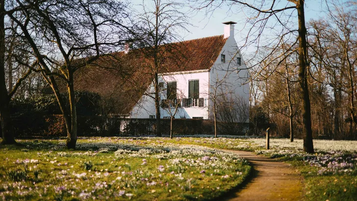 Iwema Steenhuis