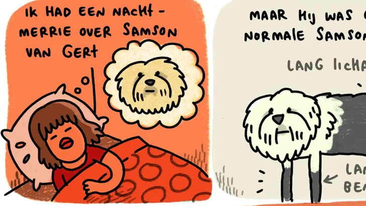samson