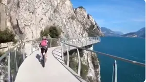 gardameer