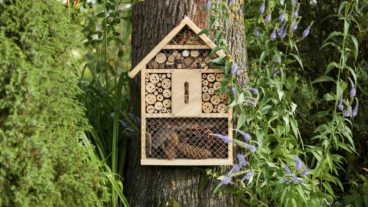 Insectenhotel