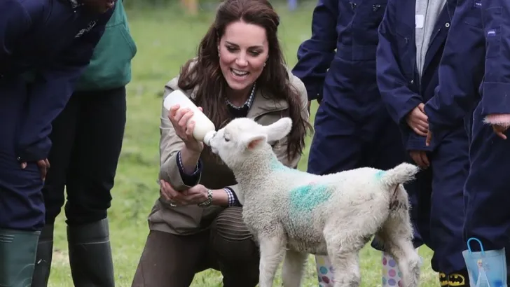 'Prins George en prinses Charlotte verheugen zich op kuikentjes'