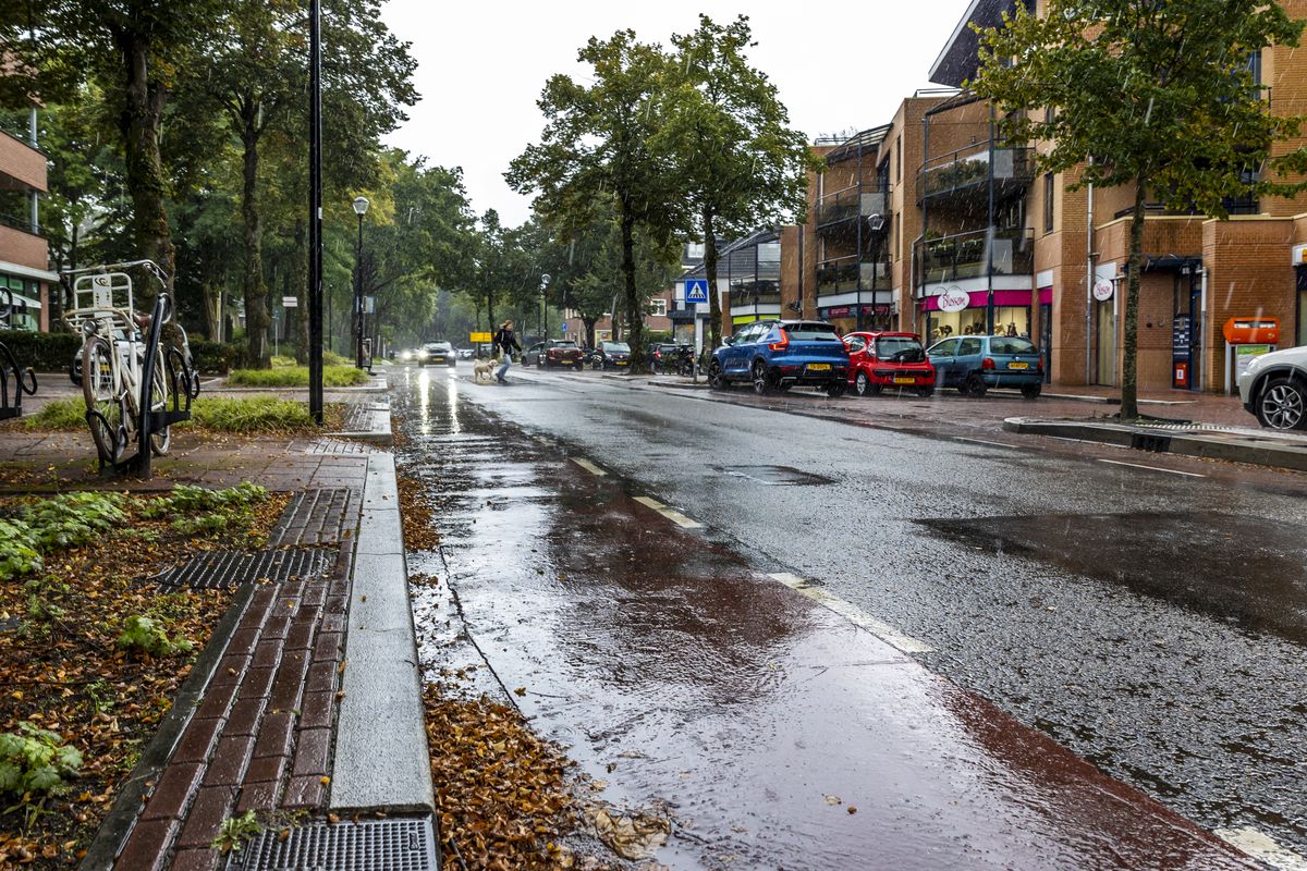 Verdachte dodelijke steekpartij Den Dolder kampte met 'wraakfantasieën'