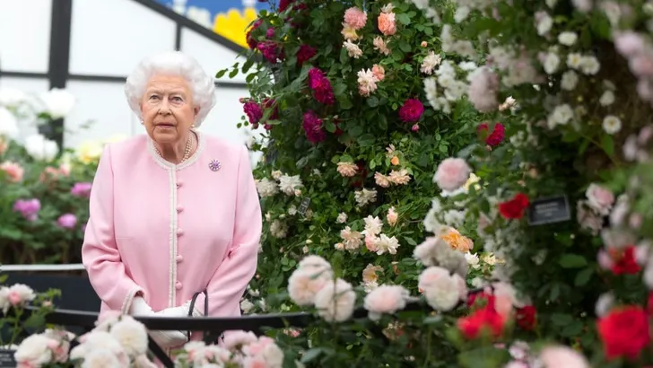 Chelsea Flower Show: bloemetjes, bijtjes, Queen!