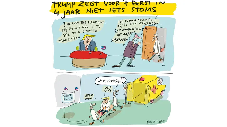 Cartoon Hein de Kort