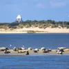 Maak kennis met de onbewoonde Waddeneilanden van Nederland | Noorderland