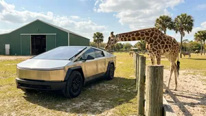 Wildpark in Florida biedt exclusieve safari aan in Tesla Cybertruck voor 850 dollar per persoon