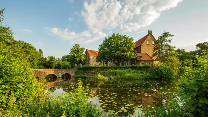 Foto van huis met op de voorgrond een vijver. – Zuurstofplanten voor je buitenruimte.