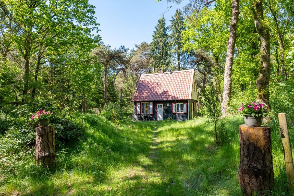 Parel op Funda: Hans-en-Grietje-huisje midden in het Drentse bos