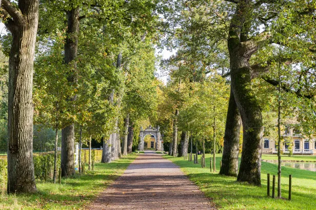 Wandelen op Landgoed Nienoord