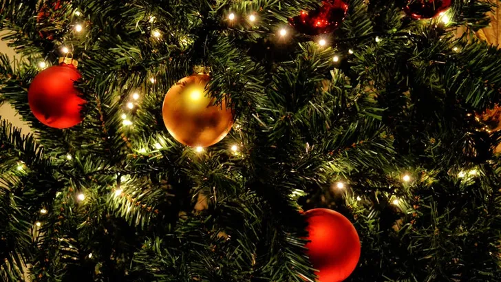 Wie heeft de mooiste? Bekijk de kerstbomen van de Nederlandse sterren