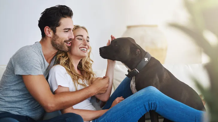 honden