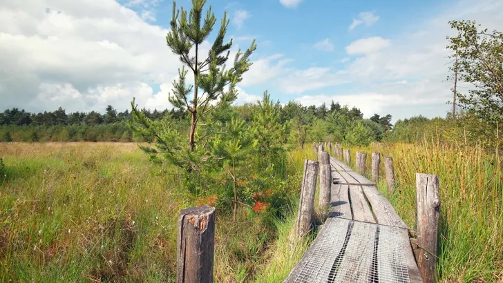 wandelroutes plankenpaden