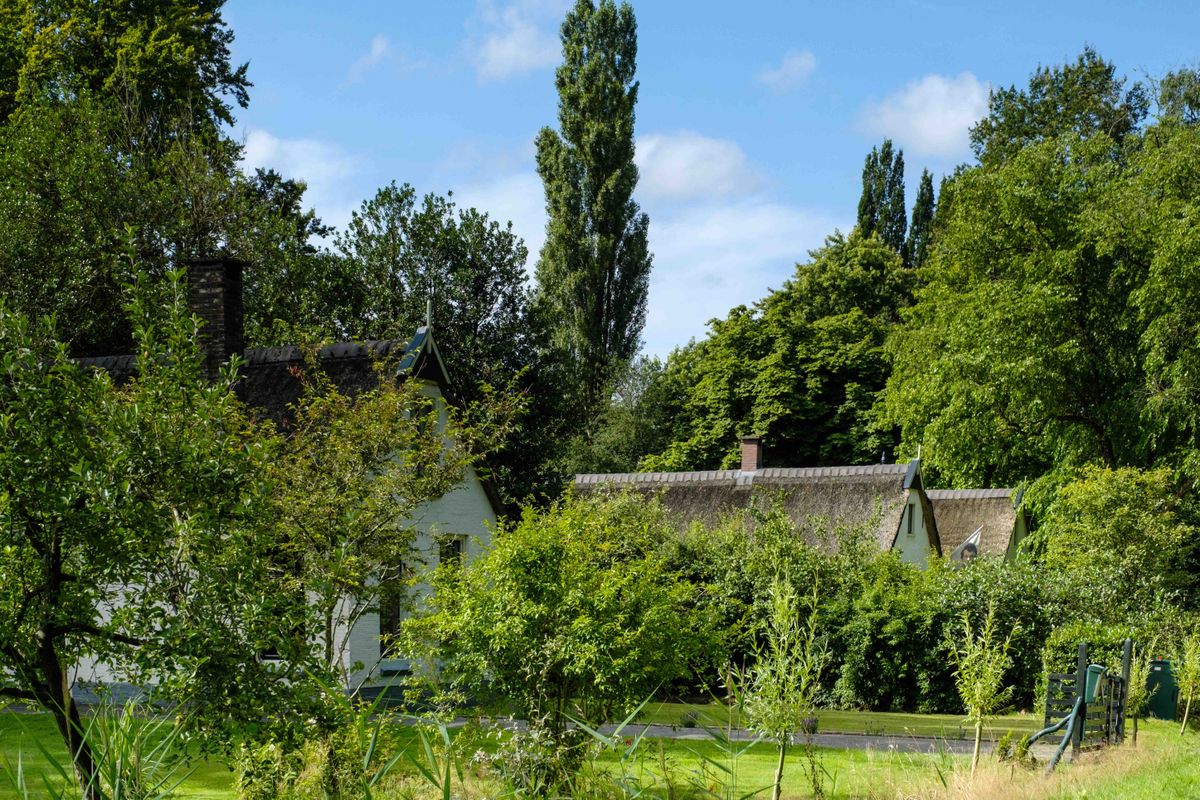 Een bijzondere plek in Drenthe: struinen door de tuinen van Frederiksoord