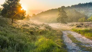 A walk on the wild side in... België!