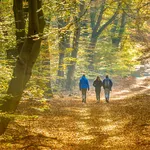 Herfstwandelingen