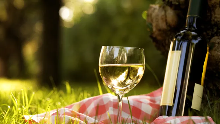 Met deze tips koel je in no time een fles wijn