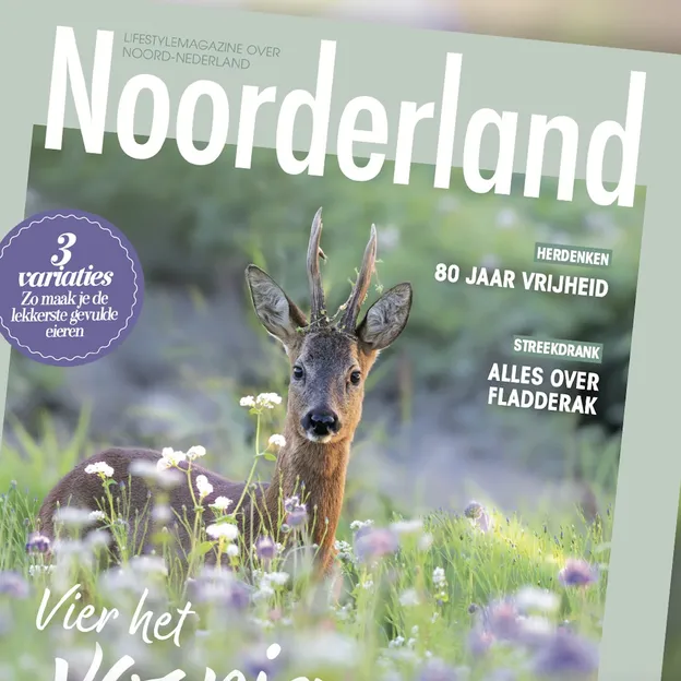 Noorderland