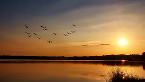 Vergeet Buienradar: waarom deze ouderwetse weerspreuken vaak beter werken dan je denkt