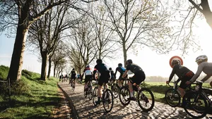 Peloton amateurwielrenners rijdt, gezien van achteren, over een tunnelvormige kasseienstrook omgeven door kale bomen. Tegenlicht van de zon op het oneffen wegdek."