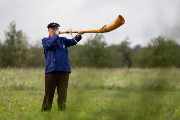 Midwinterhoorn in Veele