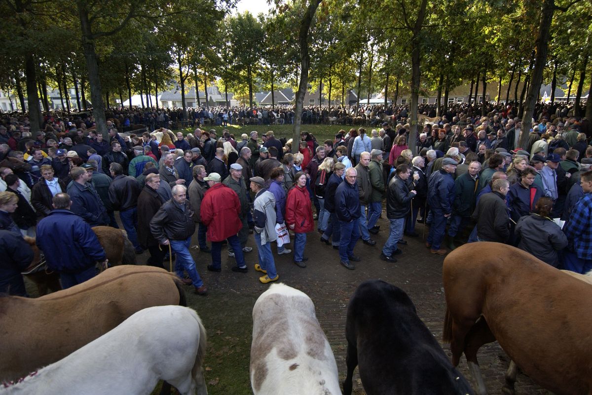 Eén dinsdag in oktober stroomt dit Drentse dorp vol voor de grootste en oudste paardenmarkt van Euro