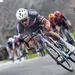 mathieu van der poel
